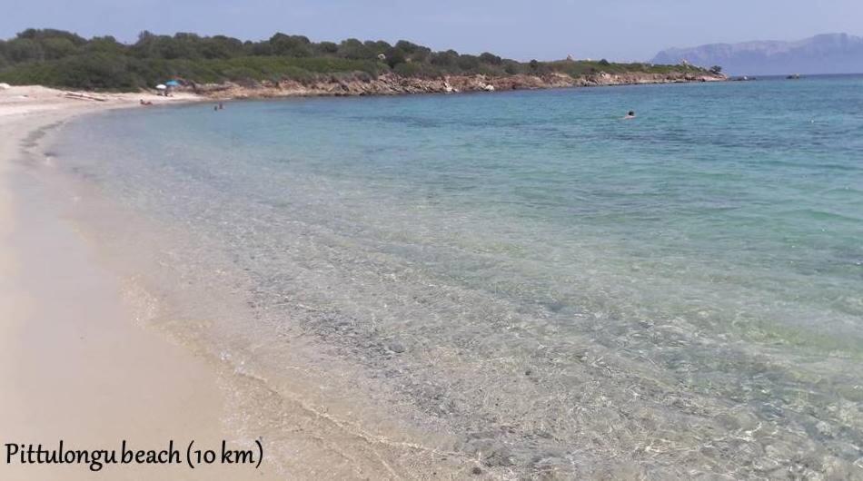 Apartament Marina Seaview Olbia Zewnętrze zdjęcie